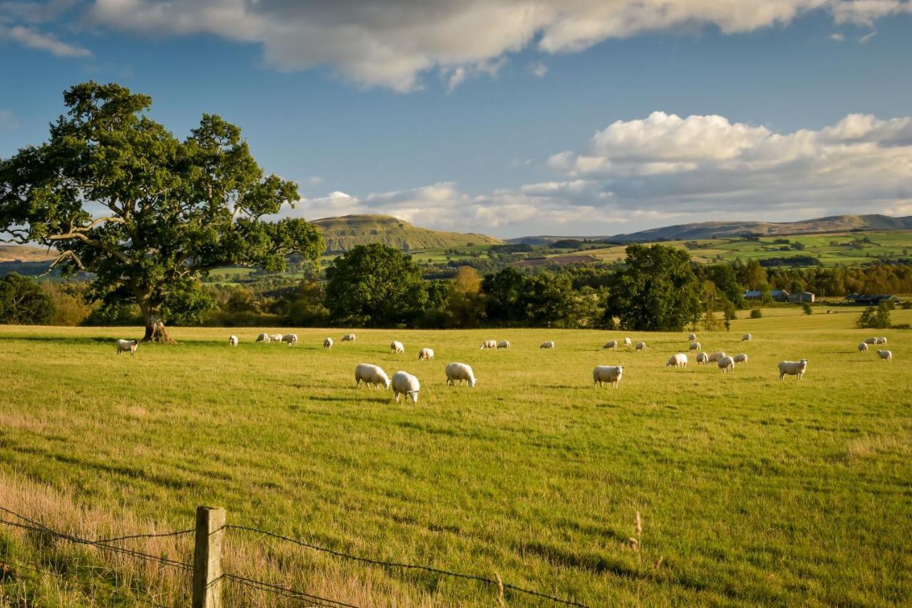 Cardross Holiday Cottages Arnprior Eksteriør bilde
