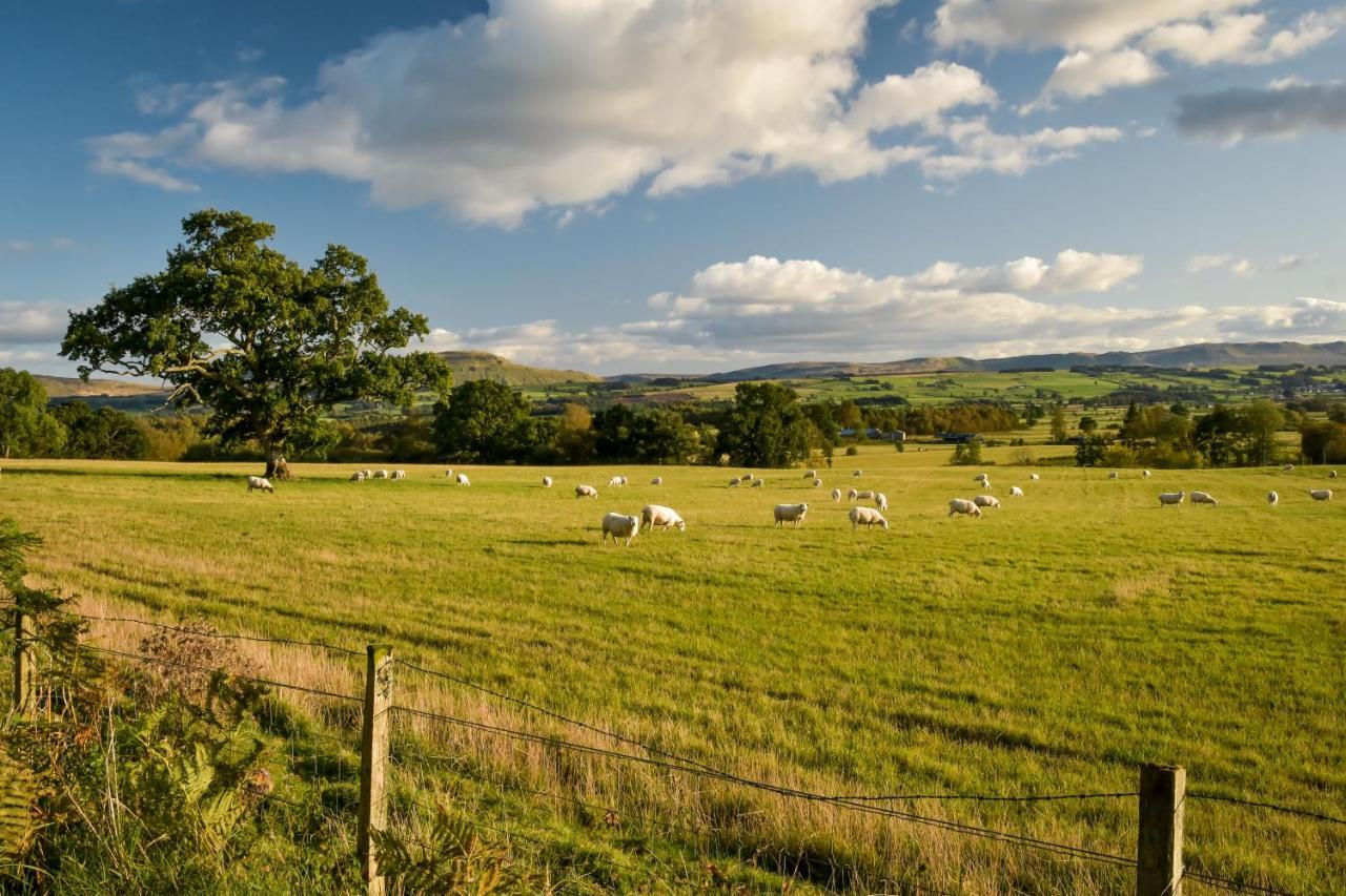 Cardross Holiday Cottages Arnprior Eksteriør bilde
